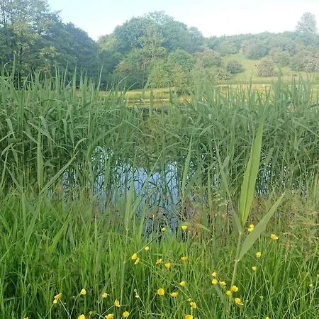 Luxury Retreat By Asbolholm - By Traum 度假居 Lunderskov