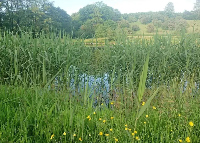 Luxury Retreat By Asbolholm - By Traum 度假居 Lunderskov